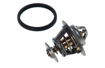 THERMOSTAT & O RING ASSEMBLY TX2 7 METROCAB TTT TAXI